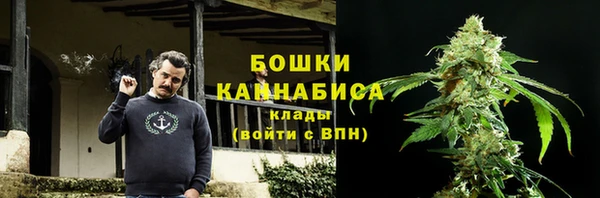 дживик Богородск