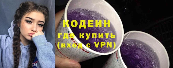 гидра Кукмор