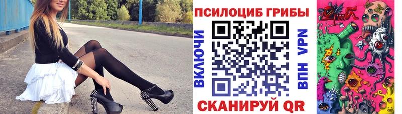 omg как зайти  Волчанск  Псилоцибиновые грибы Cubensis 